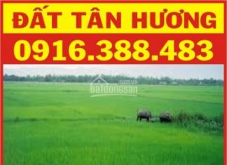 Bán đất gần KCN Tân Hương, DT: 2285m2, giá 500.000.000vnđ/1000m2, chính chủ: 0916388483