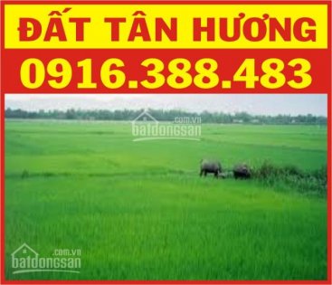 Bán đất gần KCN Tân Hương, DT: 2285m2, giá 500.000.000vnđ/1000m2, chính chủ: 0916388483