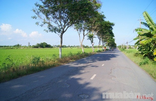 Bán đất mặt tiền tỉnh lộ 862 thuộc thị trấn tân hòa