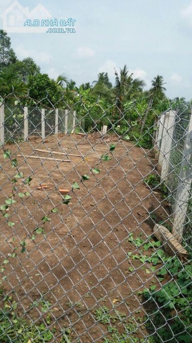 CHÍNH CHỦ BÁN ĐẤT THỔ CƯ DT: 123M2, GIÁ: 420 TR, TẠI BÌNH NHÌ,TIỀN GIANG, LH: 0917.171.055