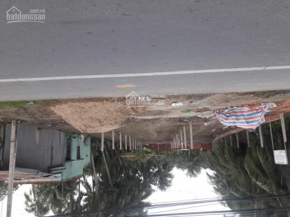 BÁN ĐẤT 5 X 35 MẶT TIỀN QL 50 AN THẠNH THỦY CHỢ GẠO