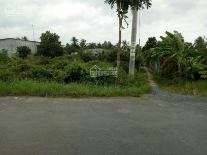 Chính chủ cần nền nhà Đông Hòa Hiệp Cái Bè Tiền Giang đường xe tải cách trung tâm thị trấn 5 phút