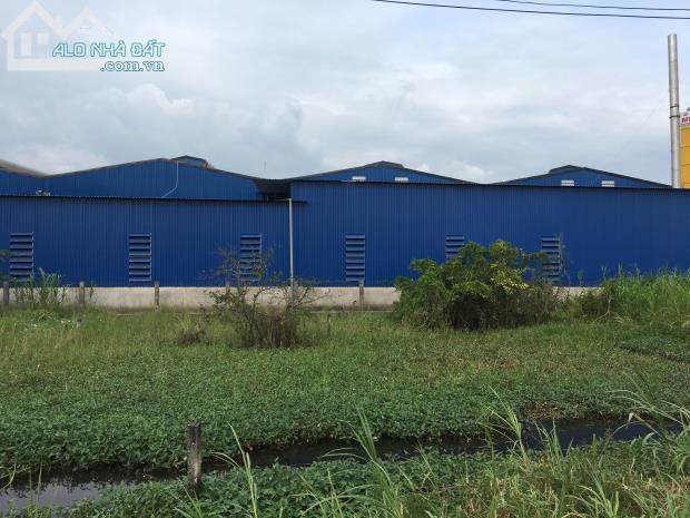 Bán kho xưởng 4800m2 ở quốc lộ 50,Mỹ Tho,Tiền Giang