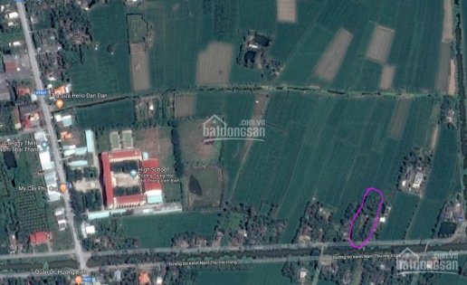 Bán đất 1460m2 – thổ cư 300m2 ngay trường cấp 3 Vĩnh Bình, Gò Công Tây, Tiền Giang
