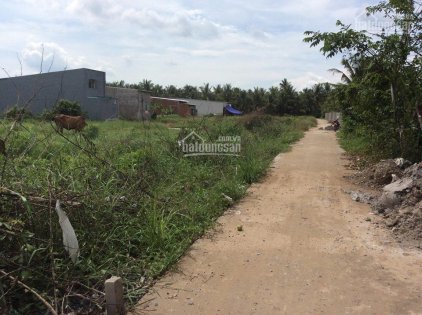 Cần bán đất ở đường TL864, TP Mỹ Tho DT 1.600m2 đất trồng cây lâu năm. Cần tiền gấp bán lại giá tốt