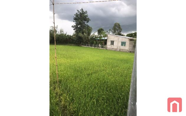 Bán gấp 982.7m2 đất vườn gần BOT Cai Lậy,cách mặt tiền Quốc Lộ 1A 40m – 750 Triệu VNĐ