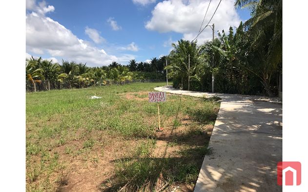 Bán Đất Long Hòa A, Đạo Thạnh, Tiền Giang – 450 Triệu VNĐ