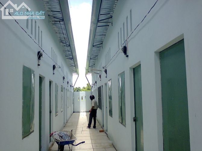 Cho thuê phòng trọ Tân mỹ chánh giá rẻ