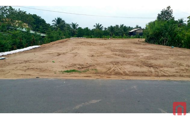 Chính chủ bán đất Đường Tỉnh 863. Huyện Cái Bè, tỉnh Tiền Giang, 1300m2. – 3 Tỷ VNĐ