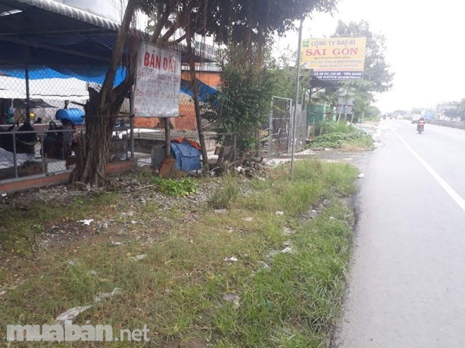 Đất mặt tiền Ql1A, Xã An Cư, Cái Bè. Tiền Giang
