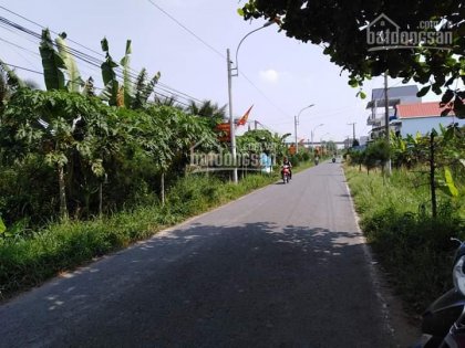 Bán đất cặp lộ Huyện Xã Thới Sơn (thổ cư 7%)