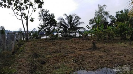 Bán đất vườn Cặp Sông Cồn Thới Sơn, dt 4000m2, giá 12 tỷ, lh 0984227447