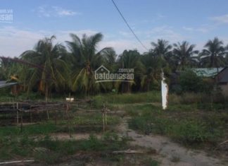 BÁN ĐẤT MẶT TIỀN QL1A XÃ THÂN CỬU NGHĨA, H.CHÂU THÀNH, T.TIỀN GIANG -L HƯNG 0979.727.656