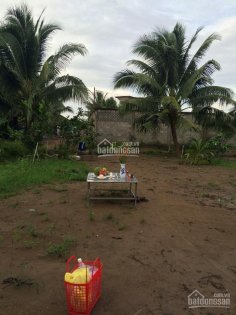 Bán nhiều nền nhà, khu du lịch Cù Lao Thới Sơn, TP Mỹ Tho, Tiền Giang. LH: C. Hà 0945 843 537