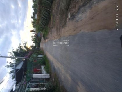 Cần bán 6300m2, tỉnh lộ 866, Châu Thành. Tiền Giang.