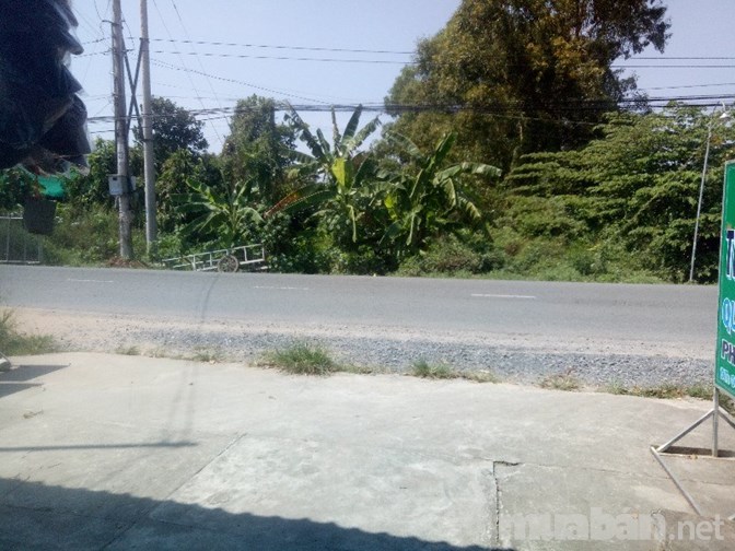 Bán vườn sầu riêng có Mặt tiền 30m ngang