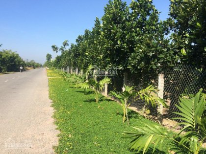 ĐẤT VƯỜN SẦU RIÊNG MẶT TIỀN TỈNH LỘ 864, GẦN CHỢ HỘI XUÂN