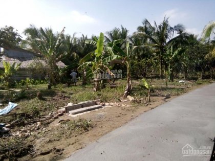 Bán 1 nền, cách TL 876 100m, gần chợ Vĩnh Kim, CT, Tiền Giang