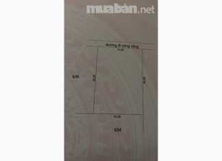 Bán đất ở Long Hòa B, xã Đạo Thạnh, thành phố Mỹ Tho, Tỉnh Tiền Giang