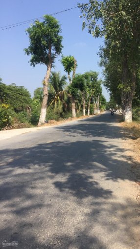 Bán đất chính chủ (1667,1m2, có 300m thổ cư) tại Long Bình, Long Chánh, TX. Gò Công