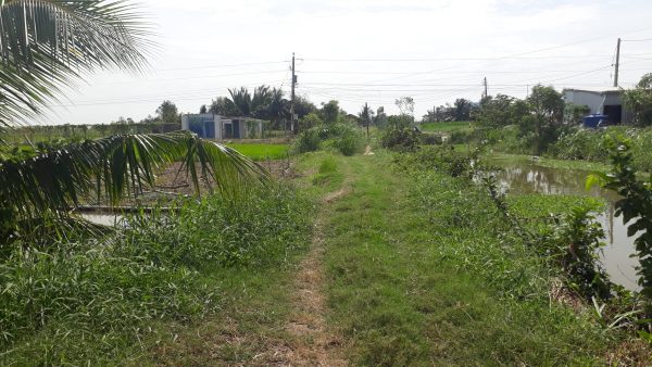 Bán đất nông nghiệp Gò Công