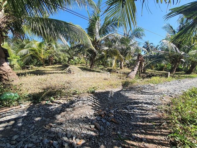 Bán đất thổ vườn ấp Tân Ninh, X.Tân Phú, H.Tân Phú Đông, T.Tiền Giang