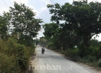 Đất nền tại Tân Trung, TXGC, Tiền Giang