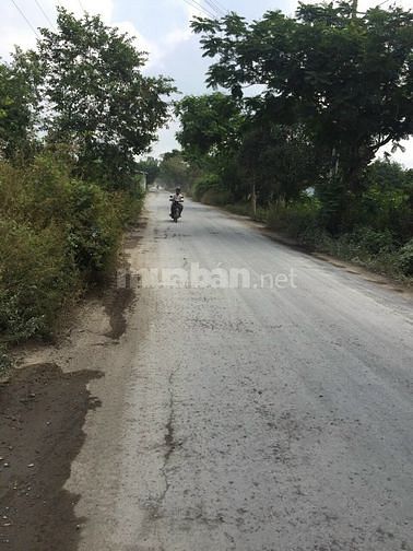 Đất nền tại Tân Trung, TXGC, Tiền Giang
