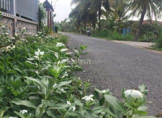 -----Hơn 900m2 đất đường ô tô, Mỹ Phong-----