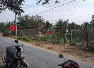 Bán 2 công đất mặt tiền lộ nhựa Song Bình Chợ Gạo