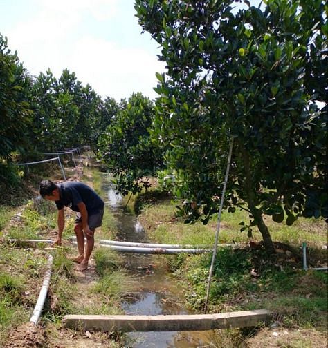 Bán 8.800m2 đất xã Mỹ Đức Đông, Cái Bè, Tiền Giang.