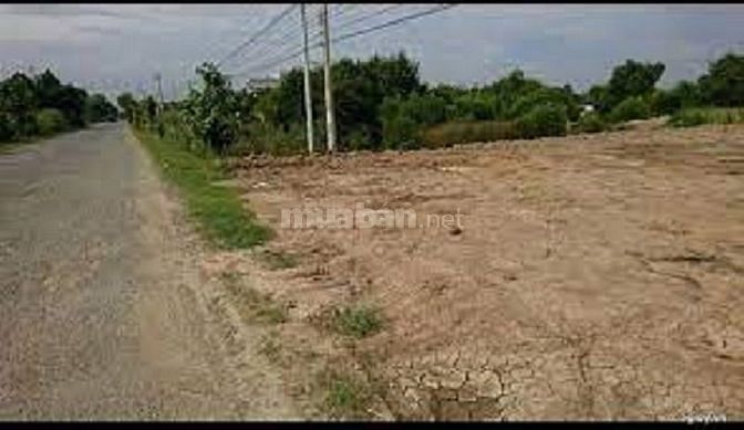 Bán gấp đất thổ gần thị trấn Cái Bè, Tiền Giang