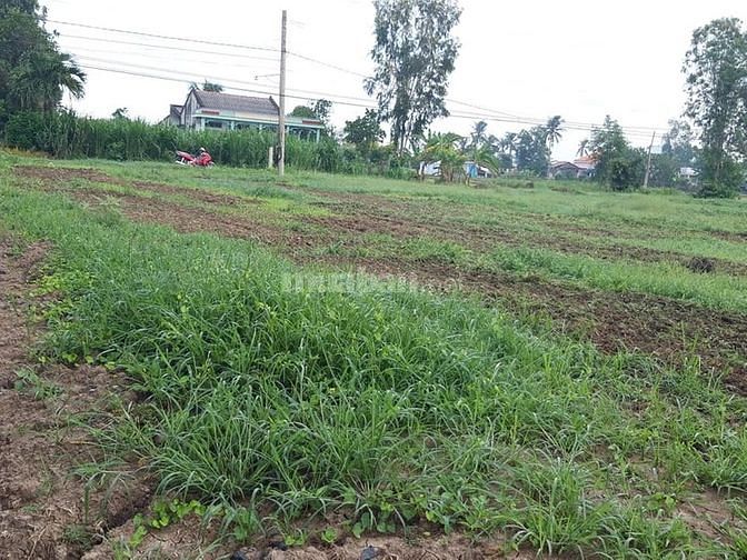 Bán mảnh đất mặt tiền đường nhựa xã Bình xuân thị xã gò công.