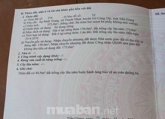 Đất thổ cư tại Bình Trung - Thạnh Nhựt