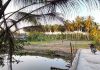 Cần bán 4000m2 Đất thổ vườn, Chợ Gạo, Tiền Giang