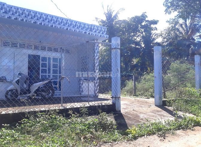 Chính chủ bán Nhà Ấp Hòa Phú Long Bình Gò Công Tây.(Diện tích: 10x34m)