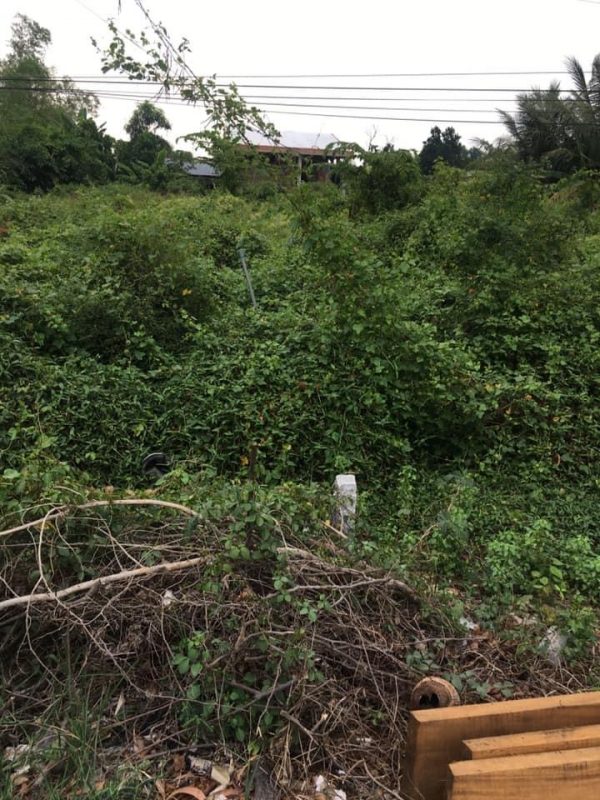 1,4công đất thị trấn Mỹ Phước,Tân Phước,Tiền Giang