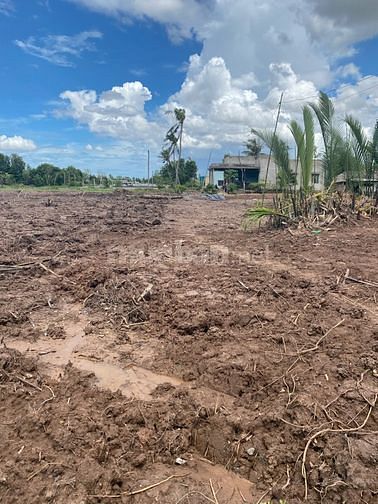 Đất 1875m2 Huyện Tân Phú Đông,Tiền Giang