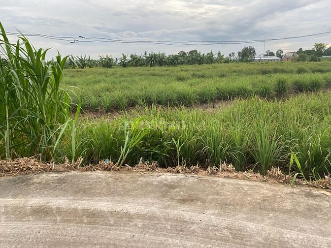 Đất Vườn 4000m2 Mặt Tiền Kinh+ Đan 3m Tân Phú Đông