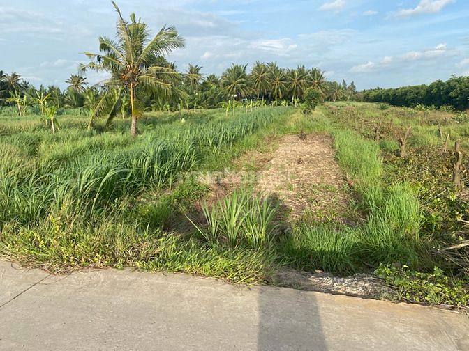 Đất Nền 778m2 MT Đường 3m Tân Phú Đông