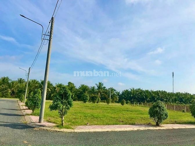 Đất mặt tiền lộ nhựa cách KCN Tân Hương 250m