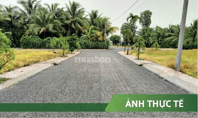 Đất nền liền kề Khu Công nghiệp Tân Hương giá rẻ, đầu tư siêu lợi nhuậ