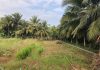 Bán đất 200m2 đường oto phước thạnh tp mỹ tho chỉ 680 triệu