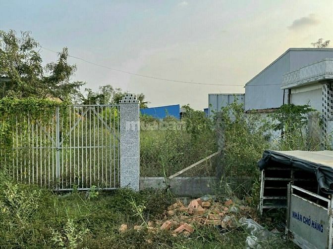 Đất Gò Công mặt tiền Quốc Lộ 50, 663m2 nở hậu, có sổ đỏ, 3,5 tỷ TL
